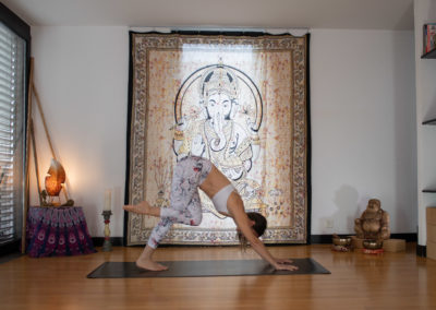 yoga-pranayogalife-asana-Parvatasana